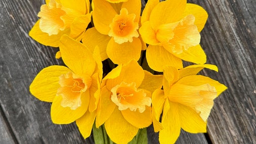 Crepe paper daffodil